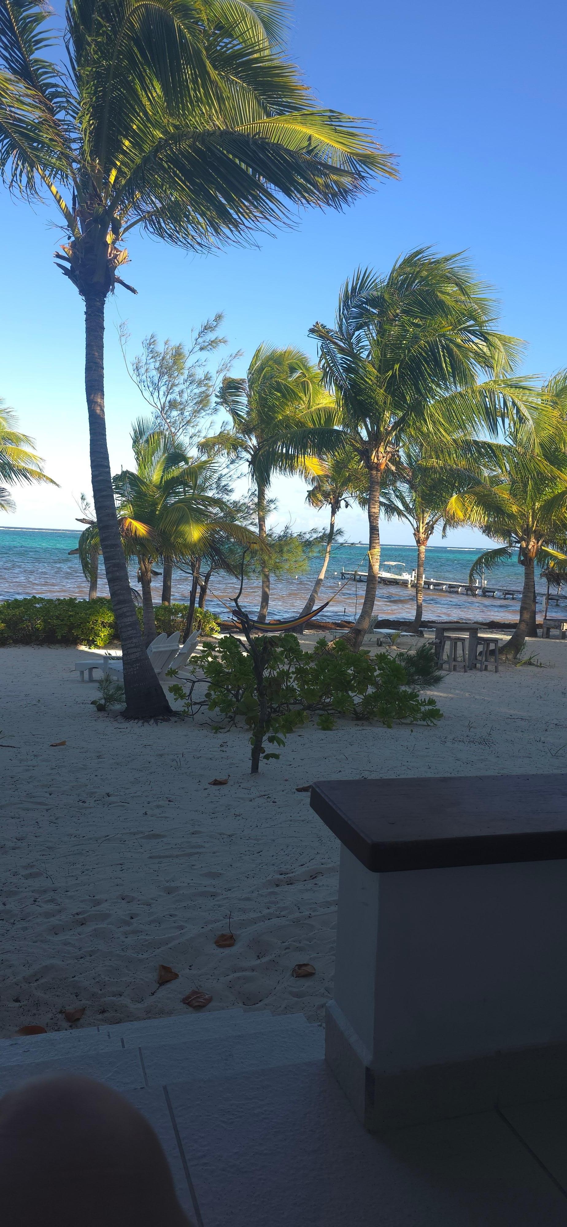 Looking out from our beautiful porch 