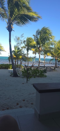 Looking out from our beautiful porch