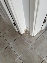 Damp in upstairs hall