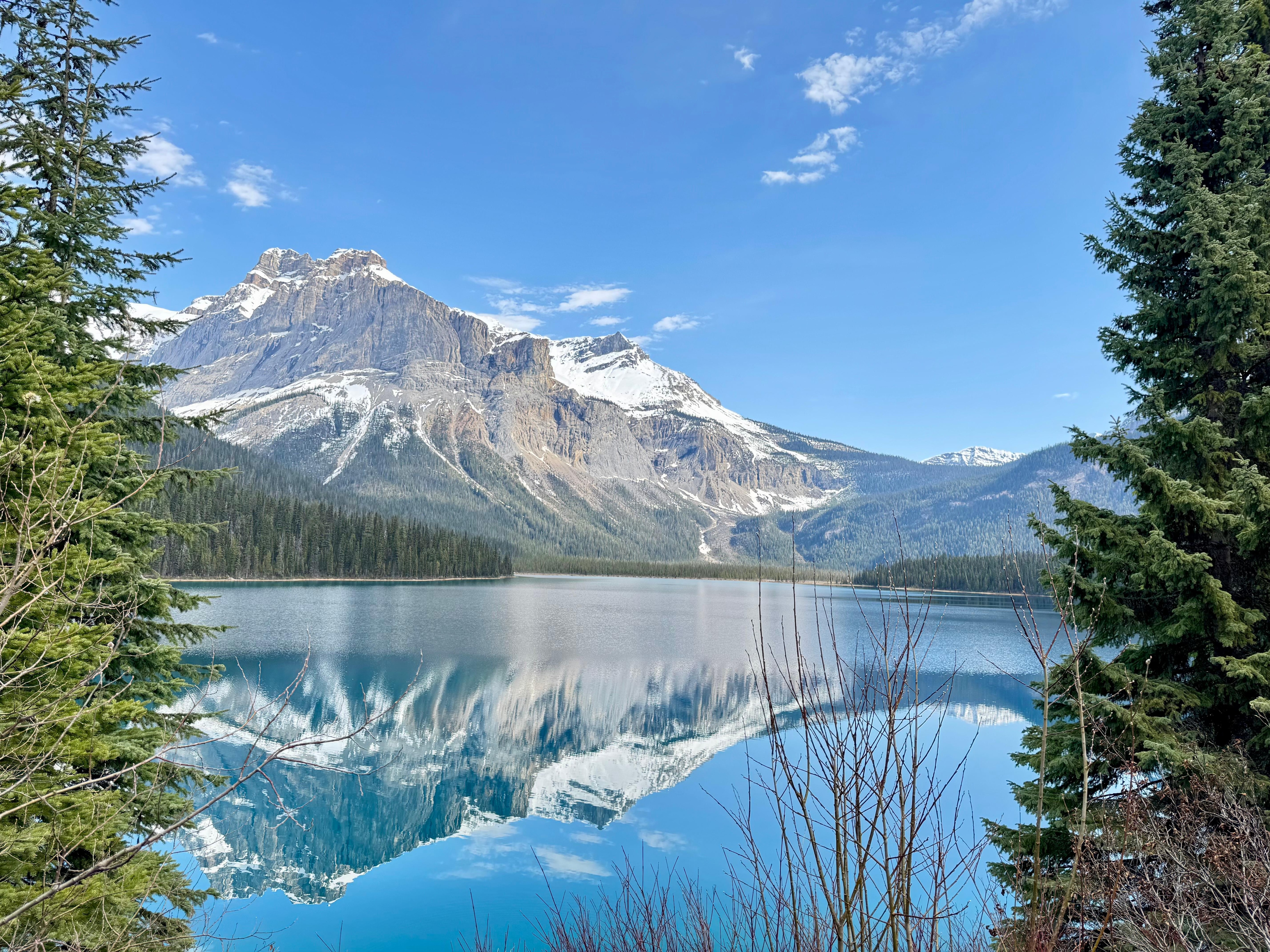Mornings at Emerald Lake Lodge