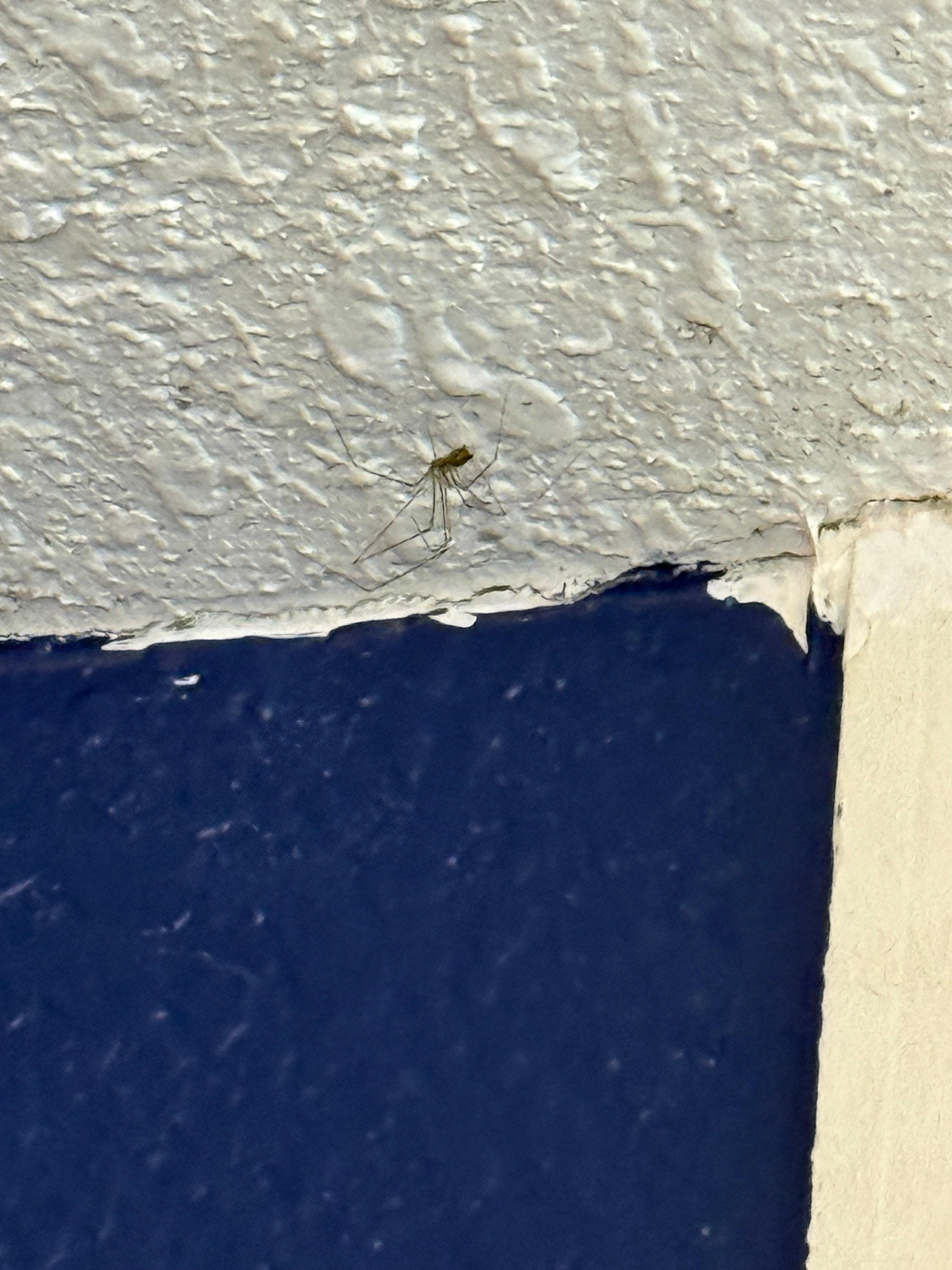 The friendly neighbor