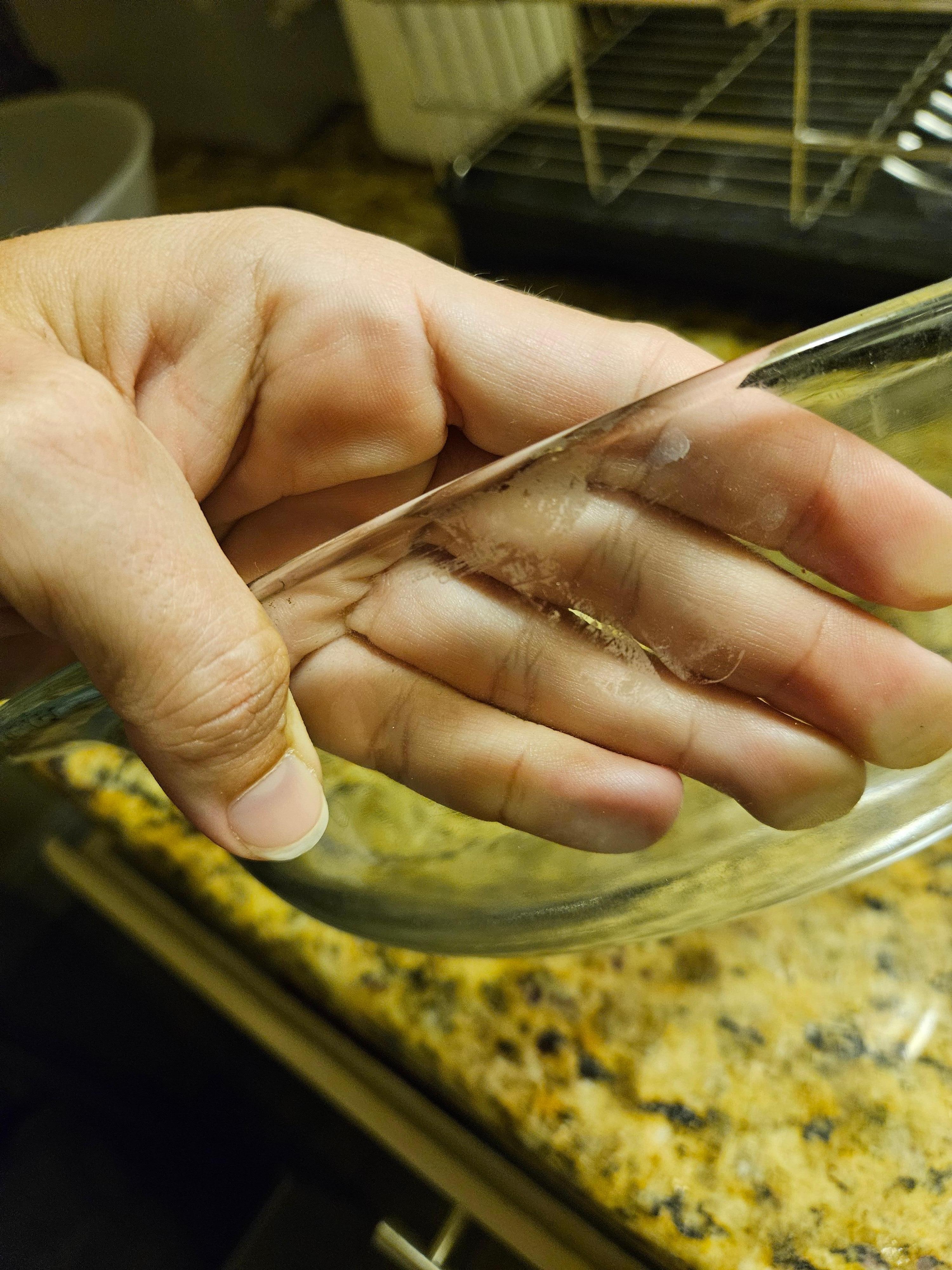 food crusted dish from kitchen cabinet