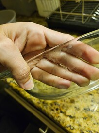 food crusted dish from kitchen cabinet