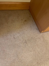 Dirty carpets
