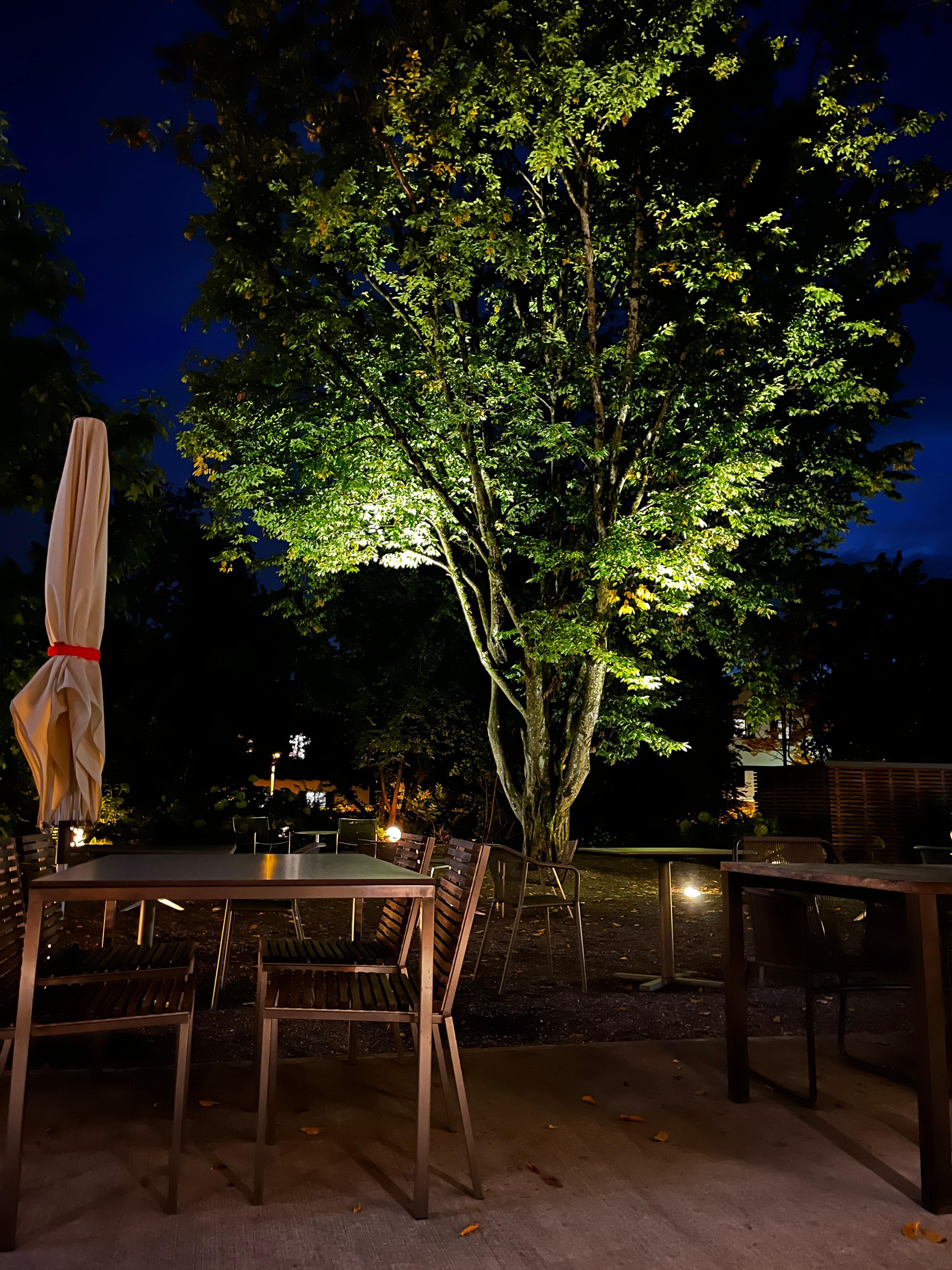 Nice outdoor dining area 