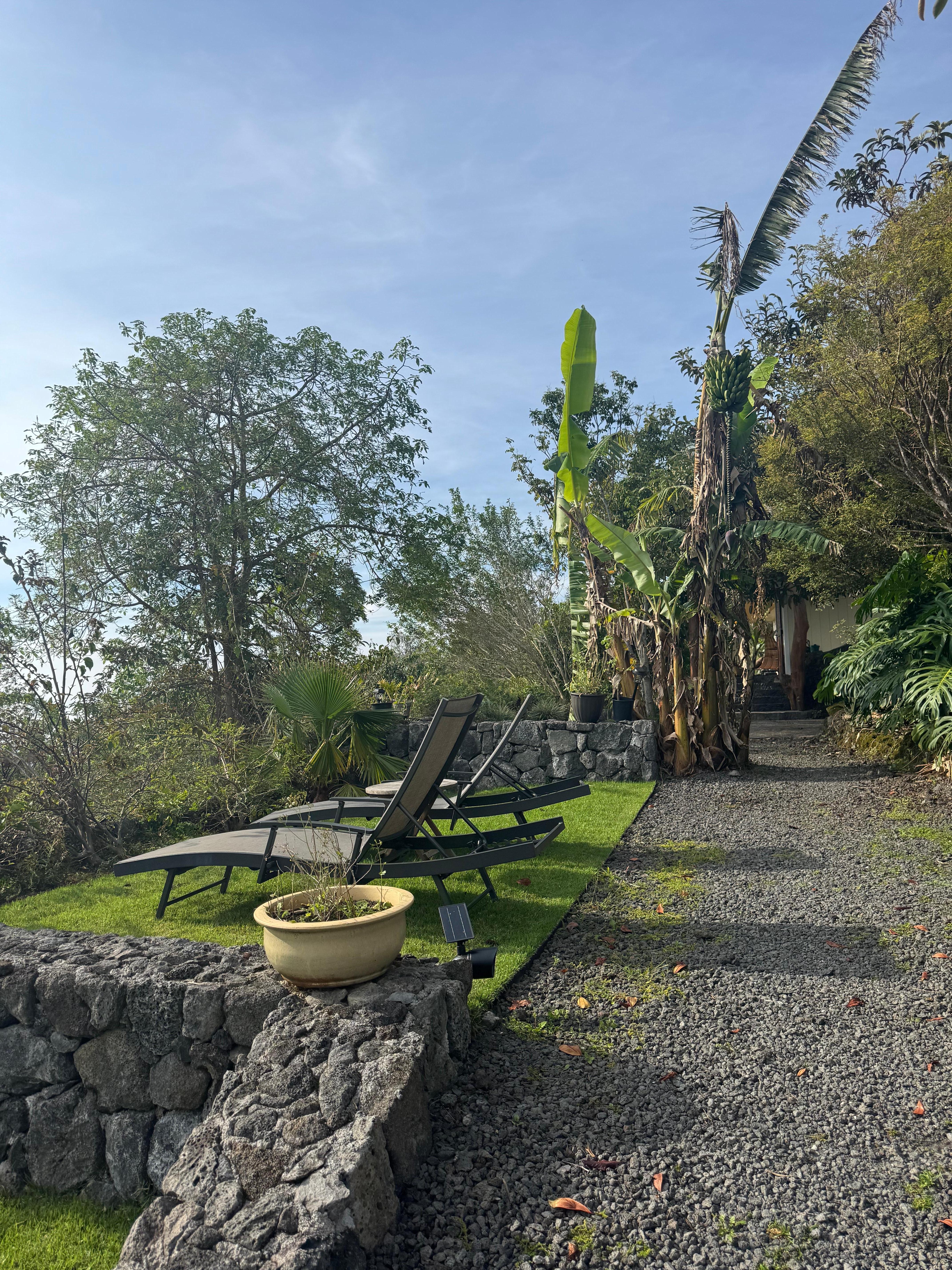 Facing the sun in the back with good view 