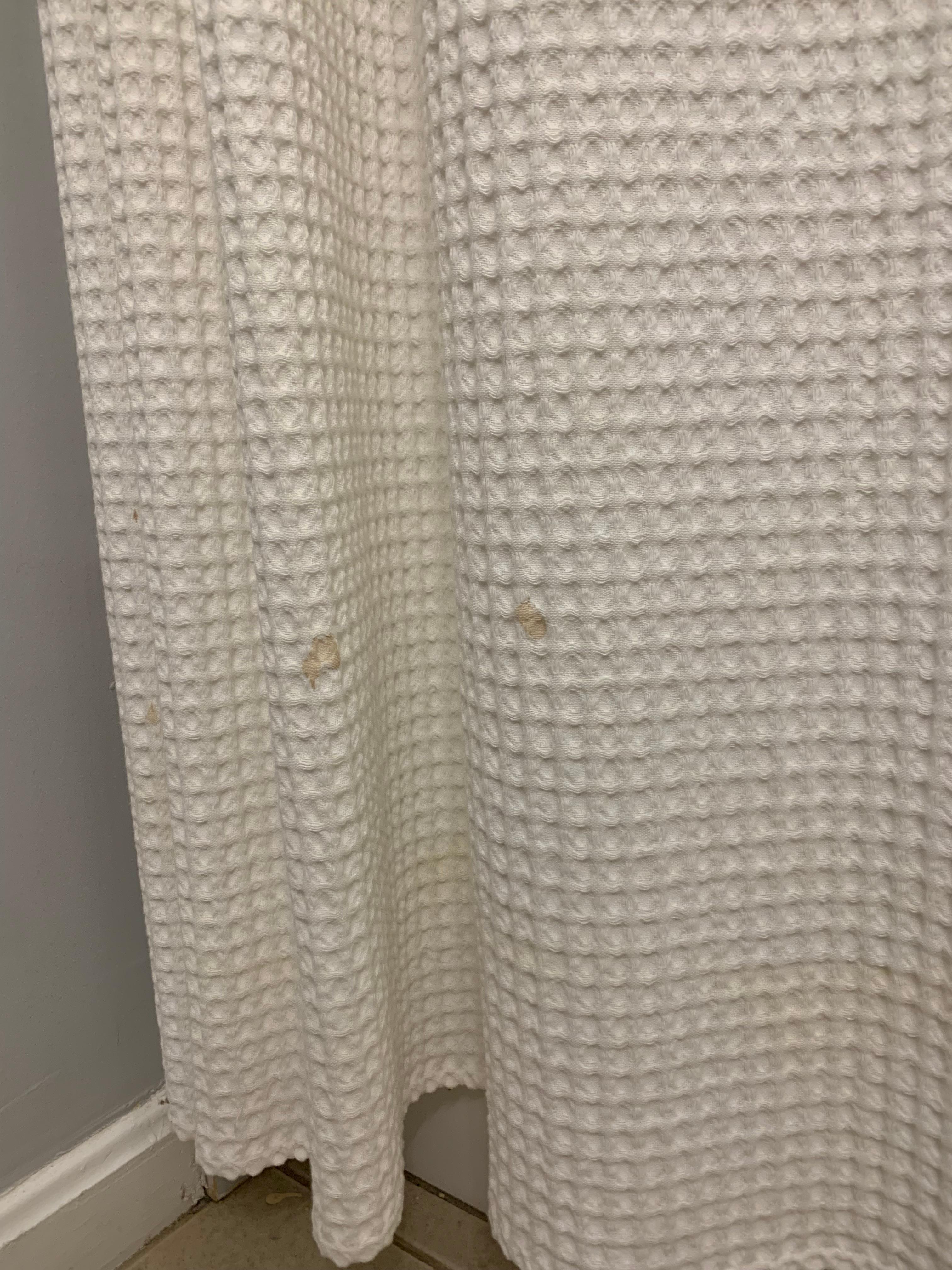 Dirty shower curtain