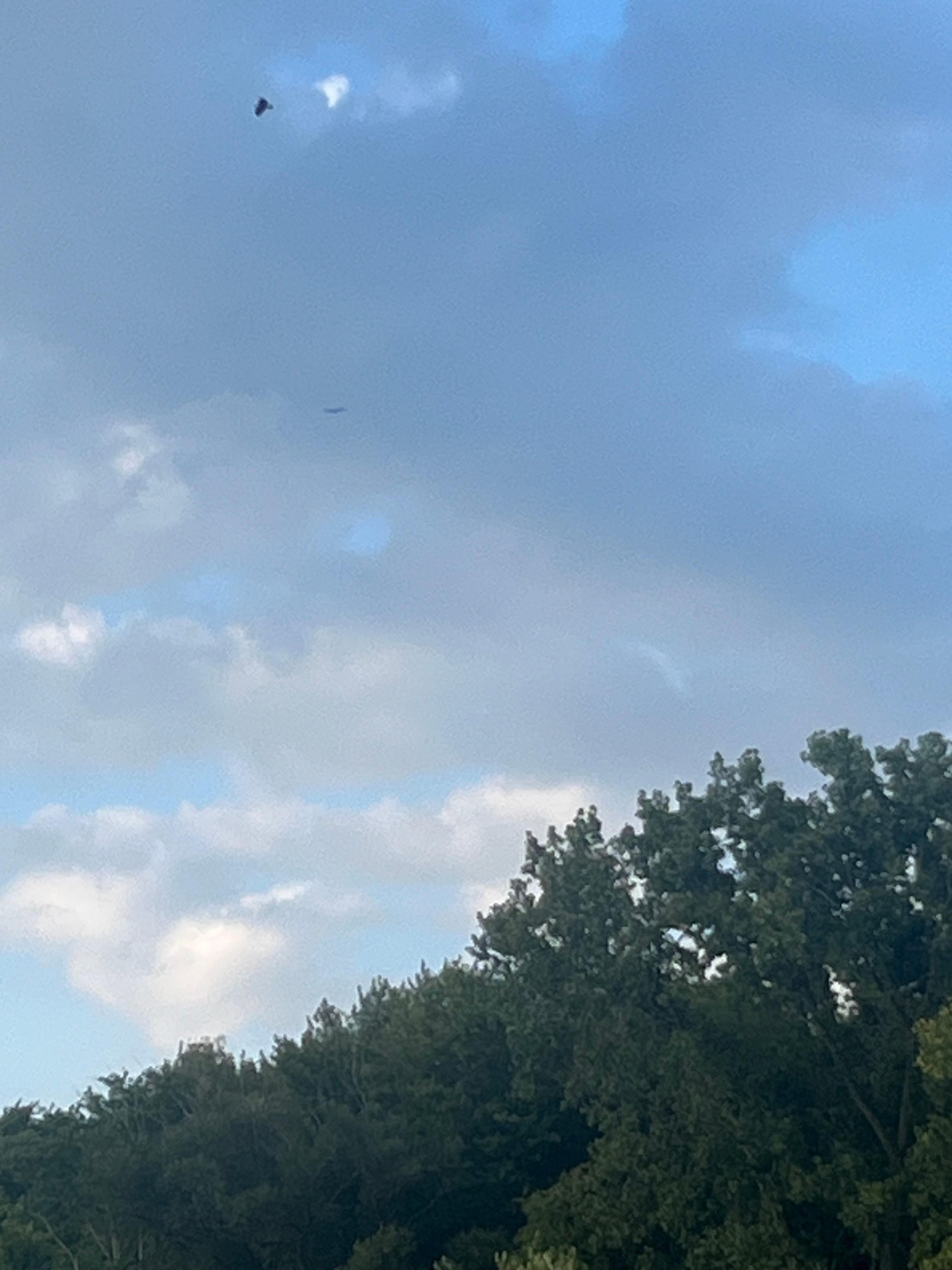 Bald Eagle flying over lake!!!