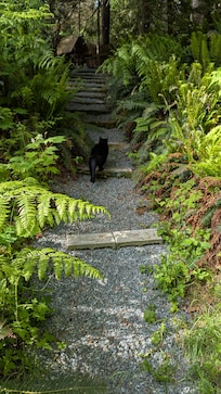 Spencer on his way after enjoying the morning sun with us