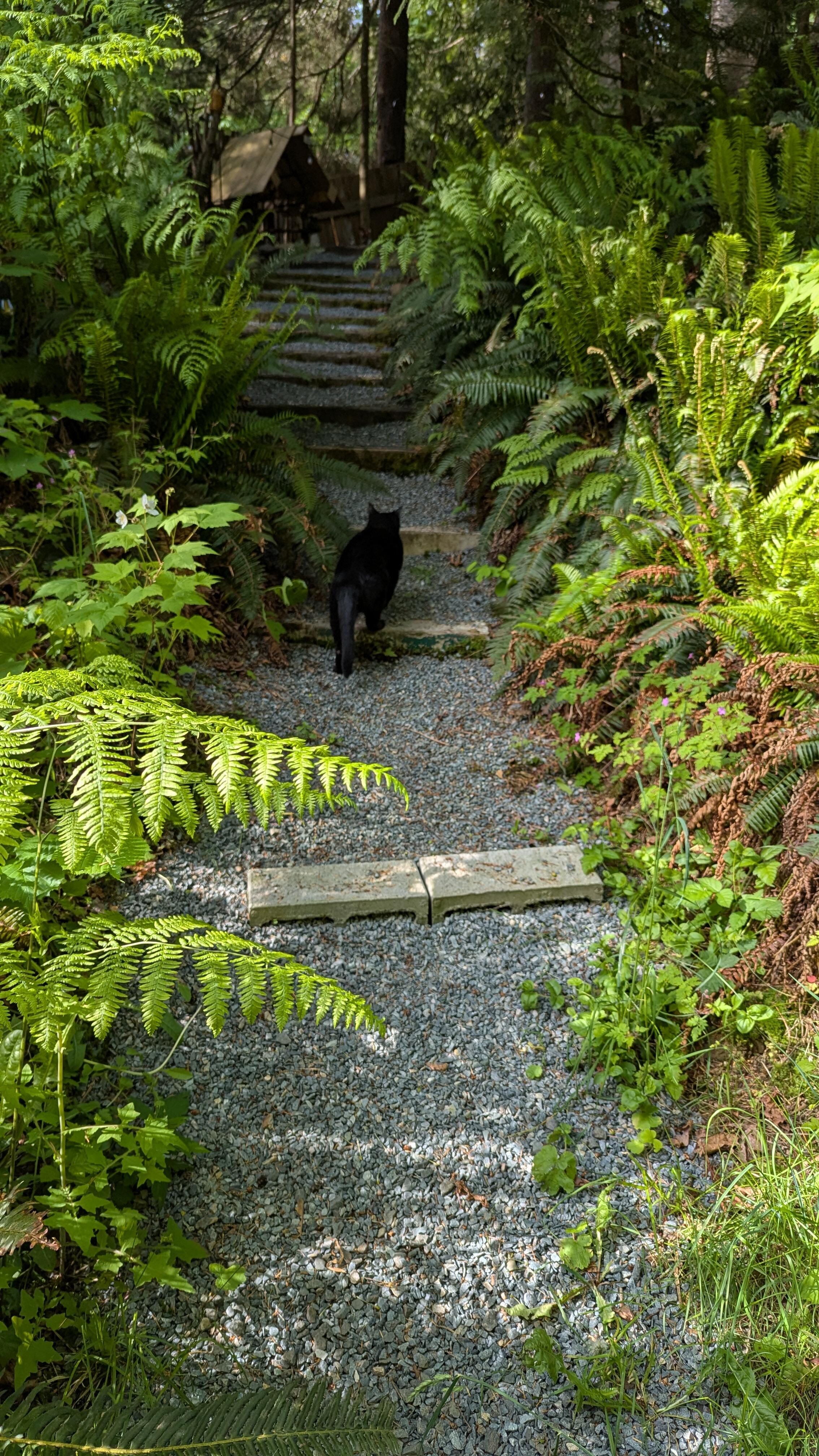 Spencer on his way after enjoying the morning sun with us