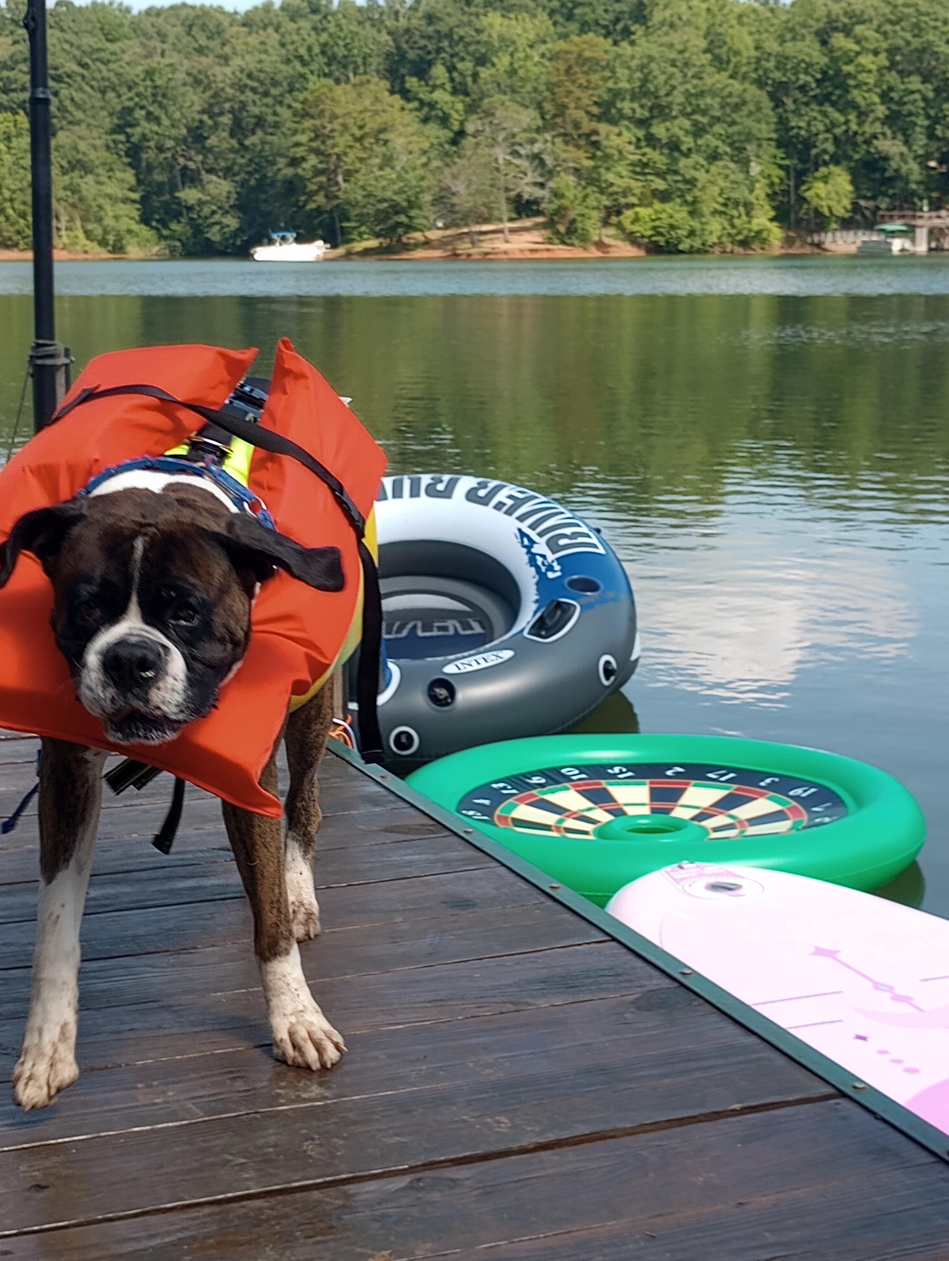 Only took three life jackets to keep him afloat 