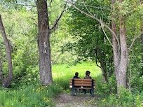 My boy’s hanging out on the bench looking at the stream right down the road