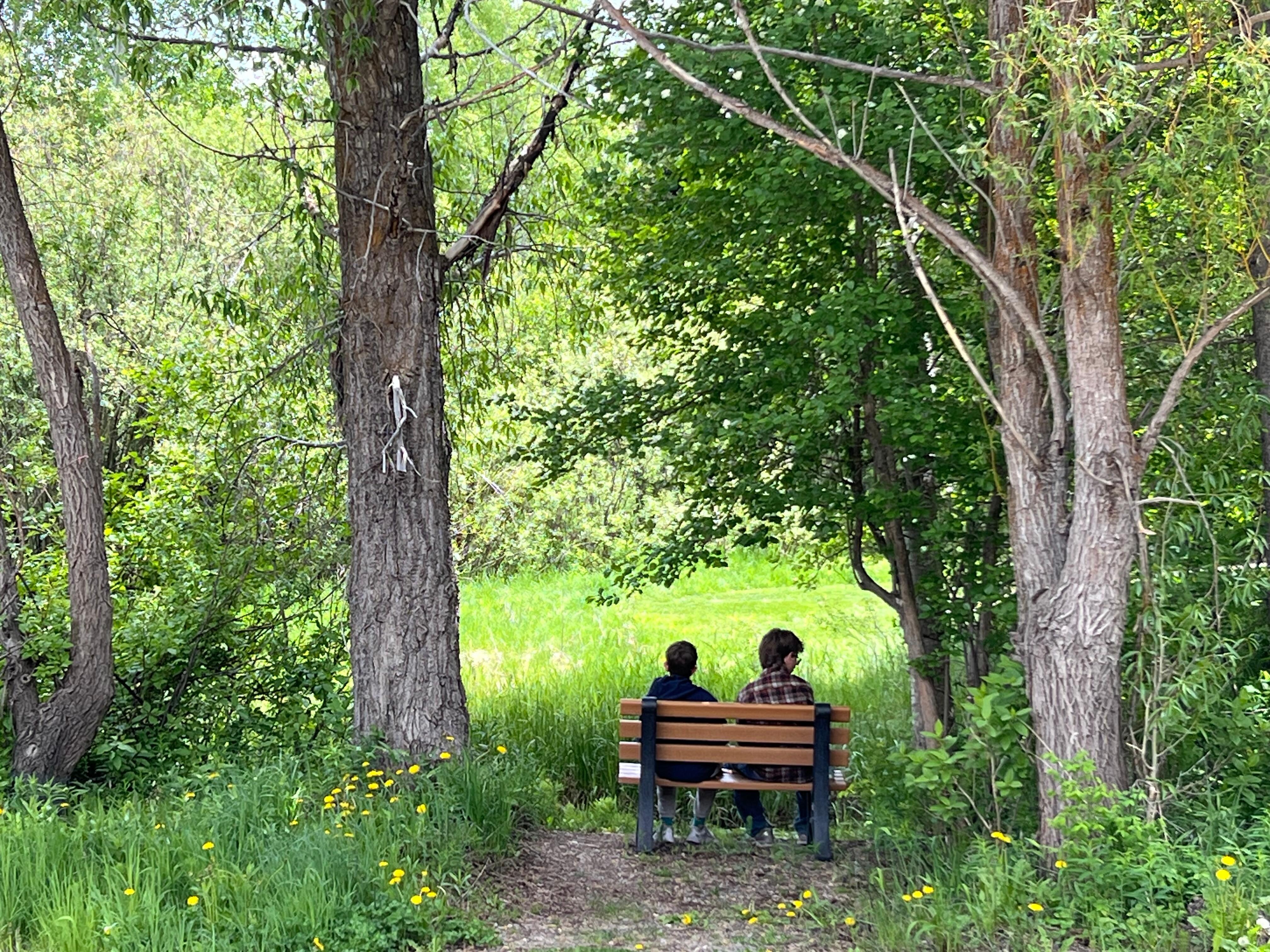 My boy’s hanging out on the bench looking at the stream right down the road