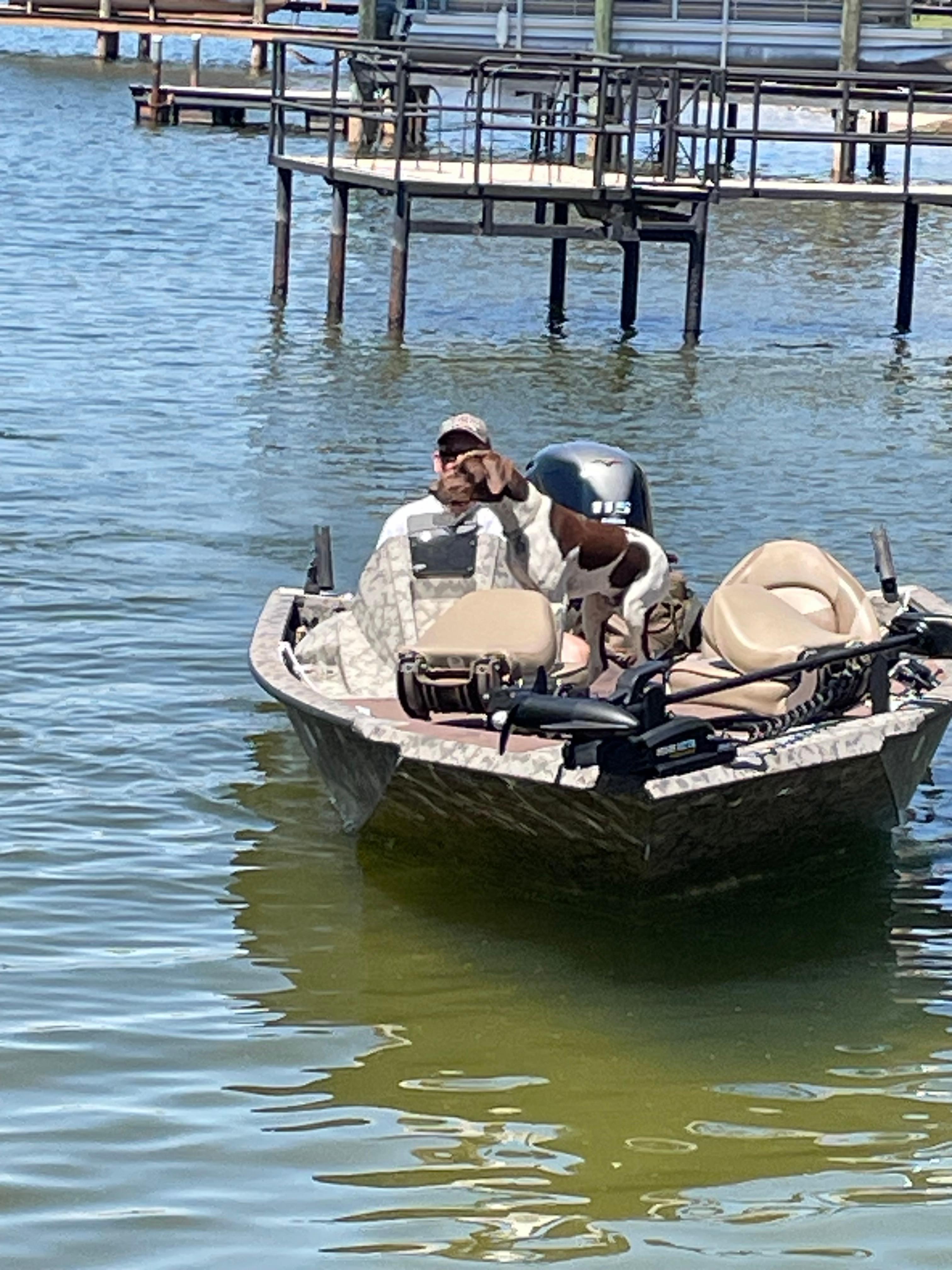 Idling up to the boat dock. 