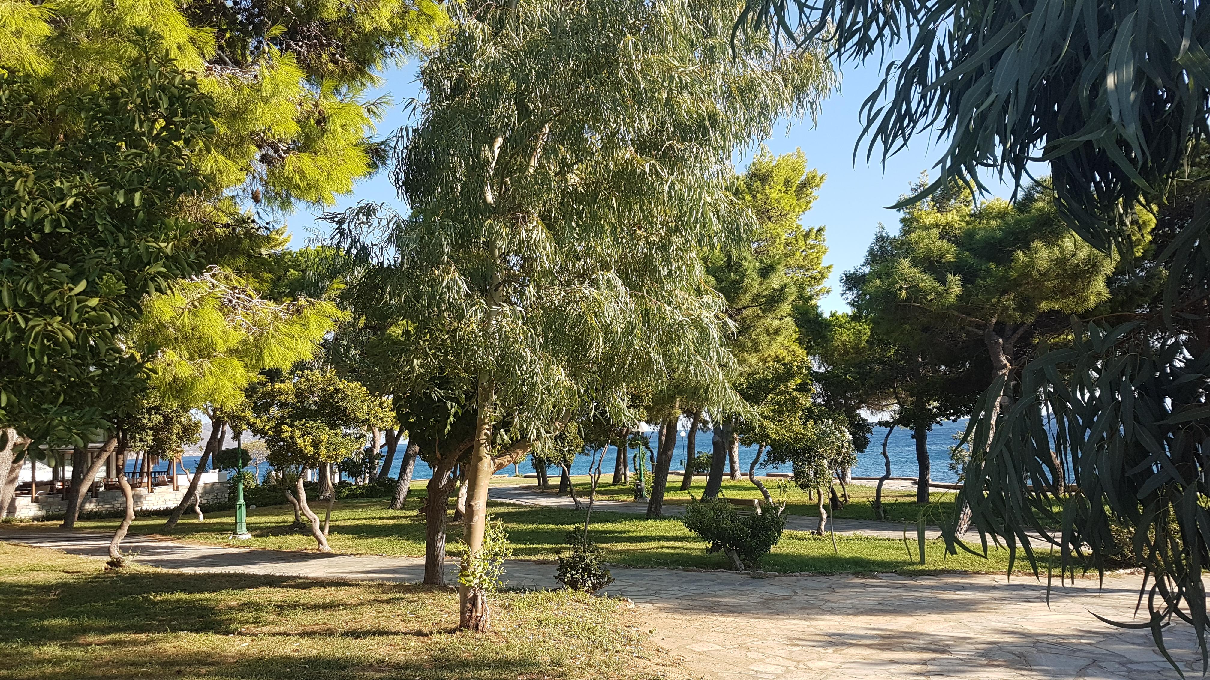 Le parc à côté de l'hôtel