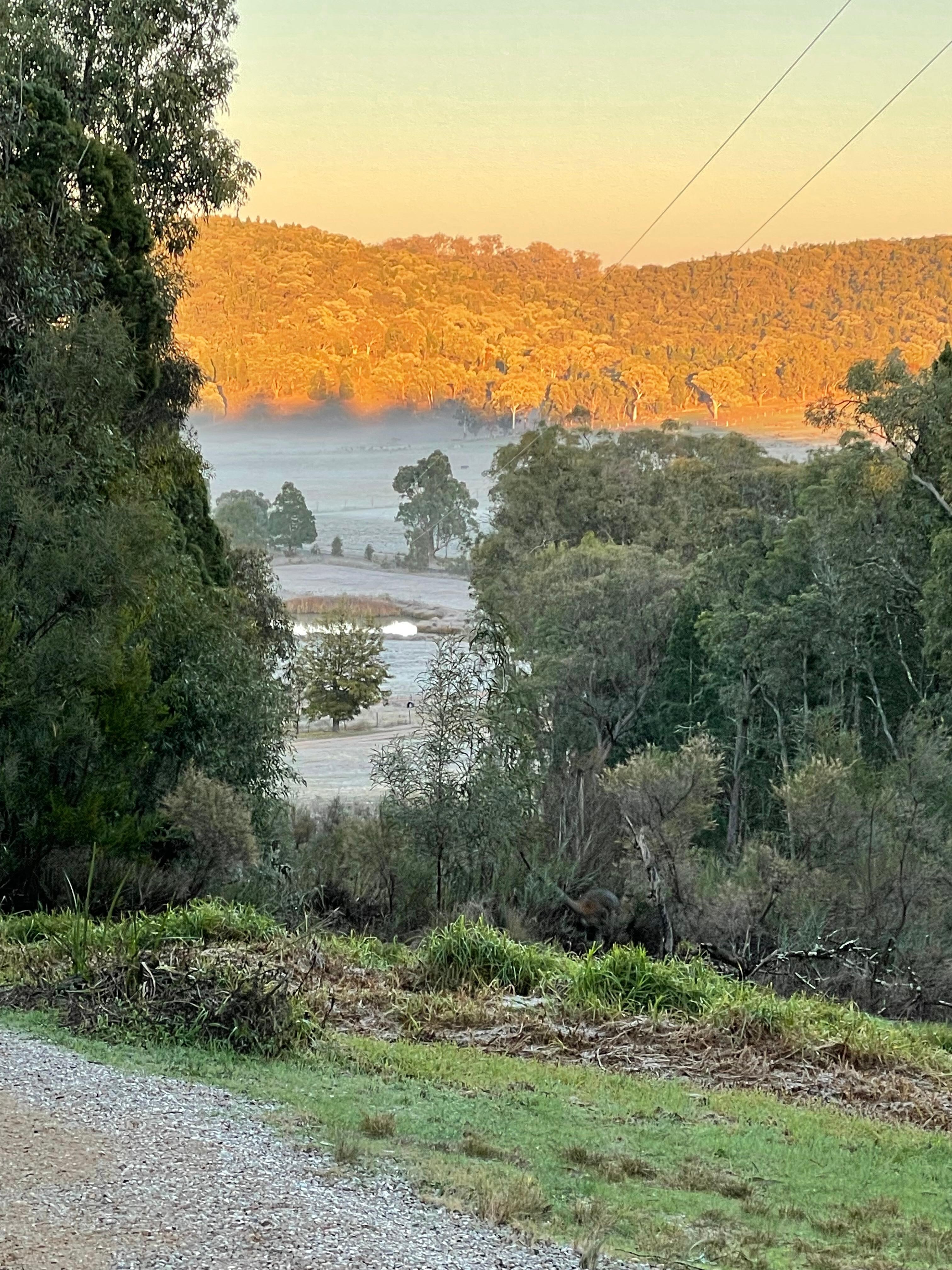 Morning fog in the valley below