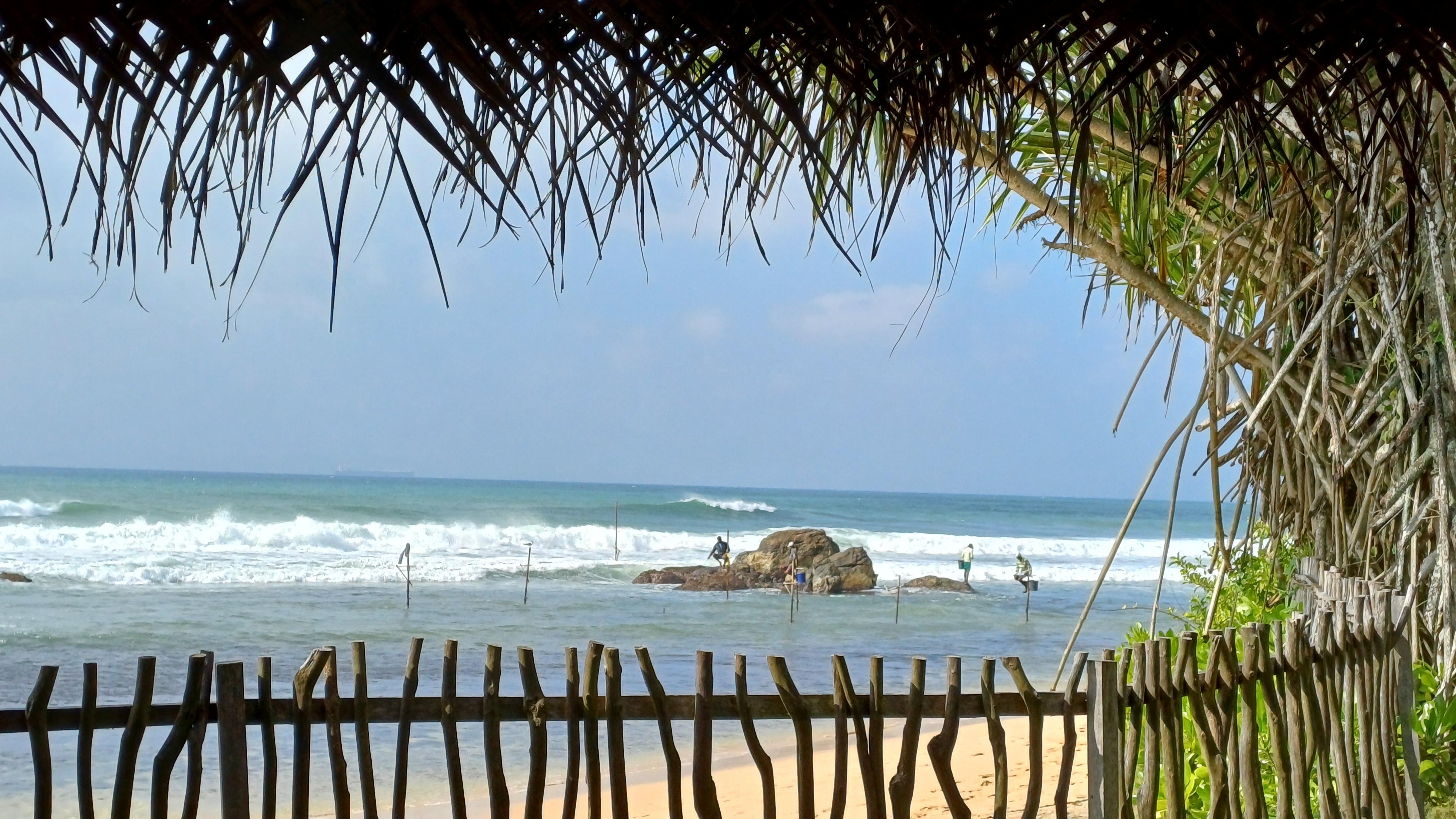 View from the garden