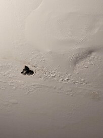 Blistered paint and black mold growing on bathroom ceiling, from humidity and no working exhaust.