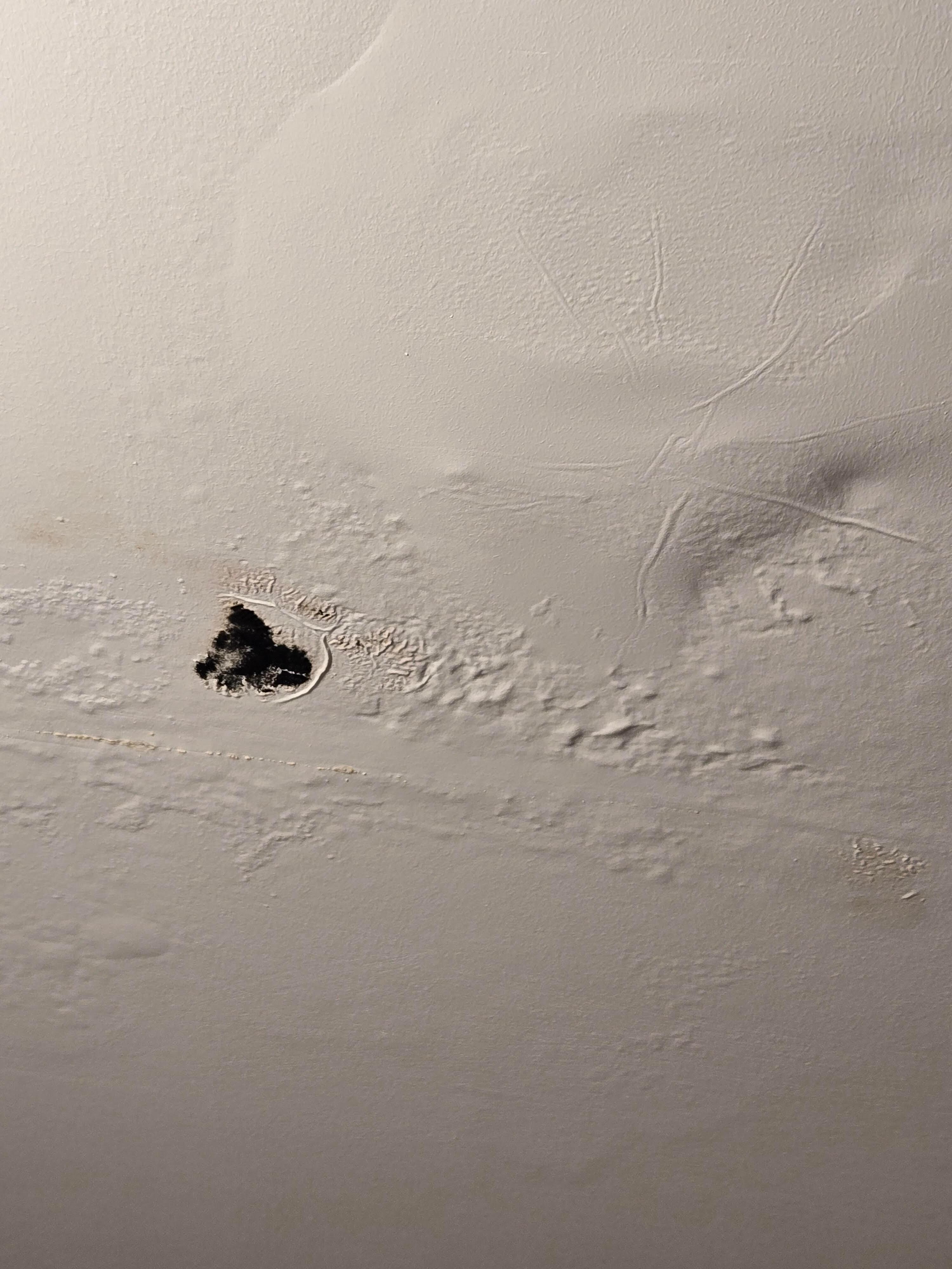 Blistered paint and black mold growing on bathroom ceiling, from humidity and no working  exhaust.