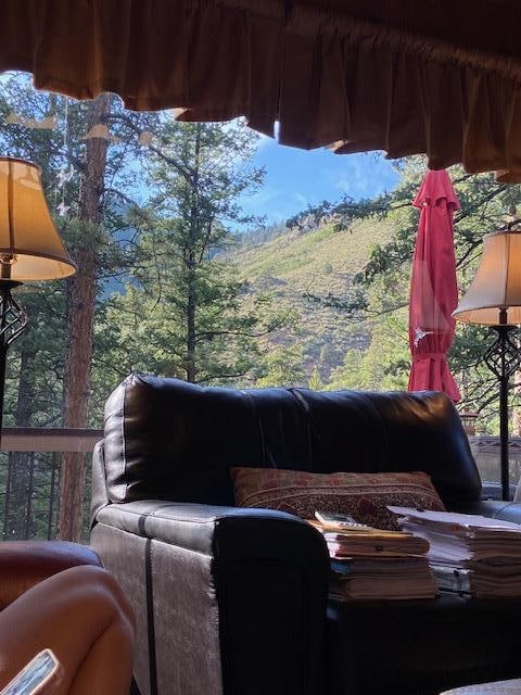 View looking out from inside the cabin.