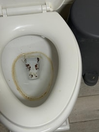 Dirty toilet