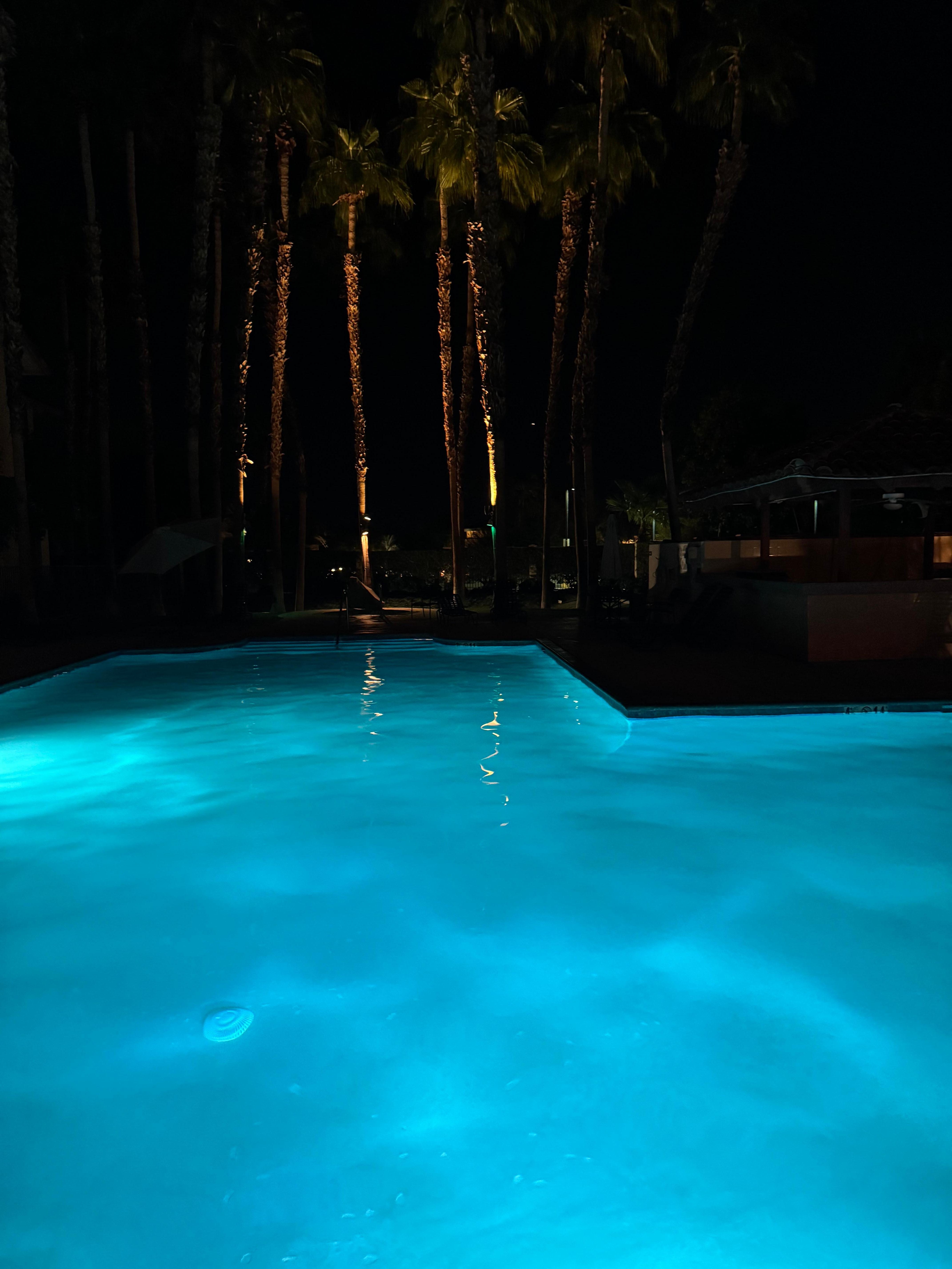 Swimming pool was gorgeous.