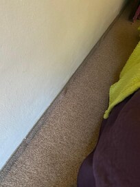 Moquette vieillotte servant de plintes.
