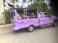 local transportation to "town" (you could also connect with a more conventional taxi)