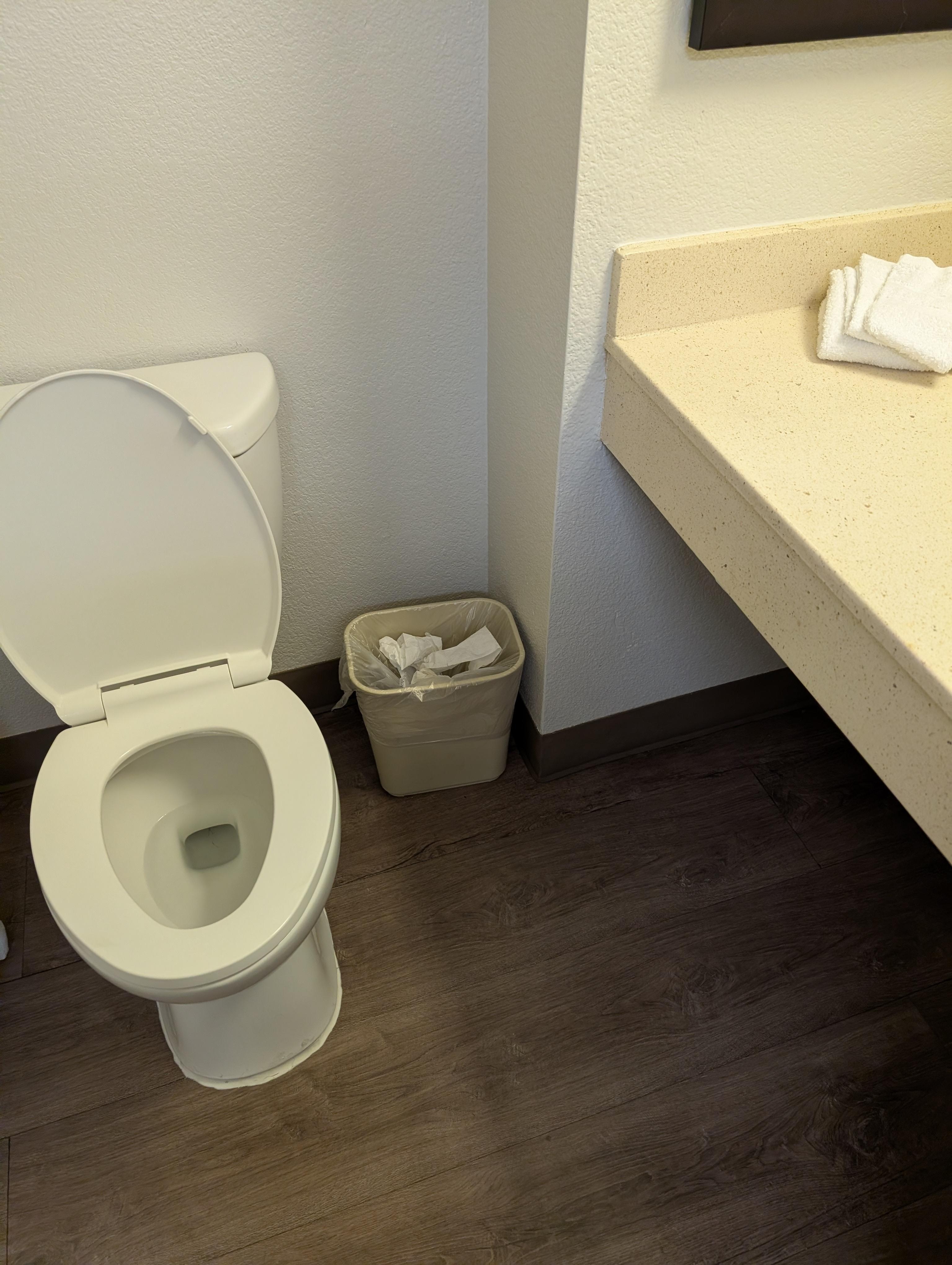 The trash can already had prior trash from last visitor 