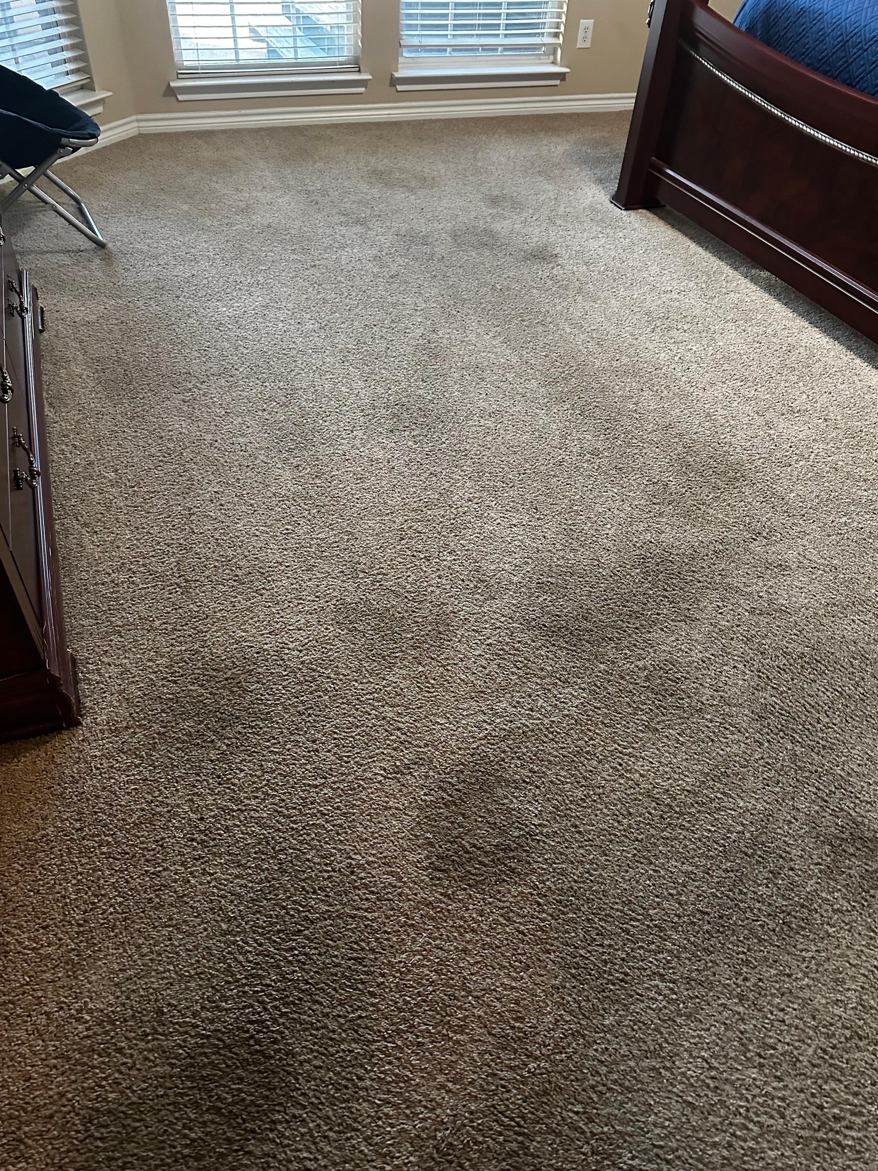 Carpet Stains