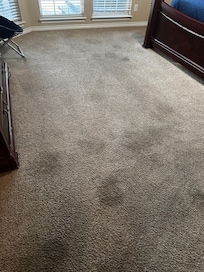 Carpet Stains
