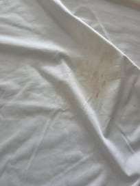 This was under the sheets