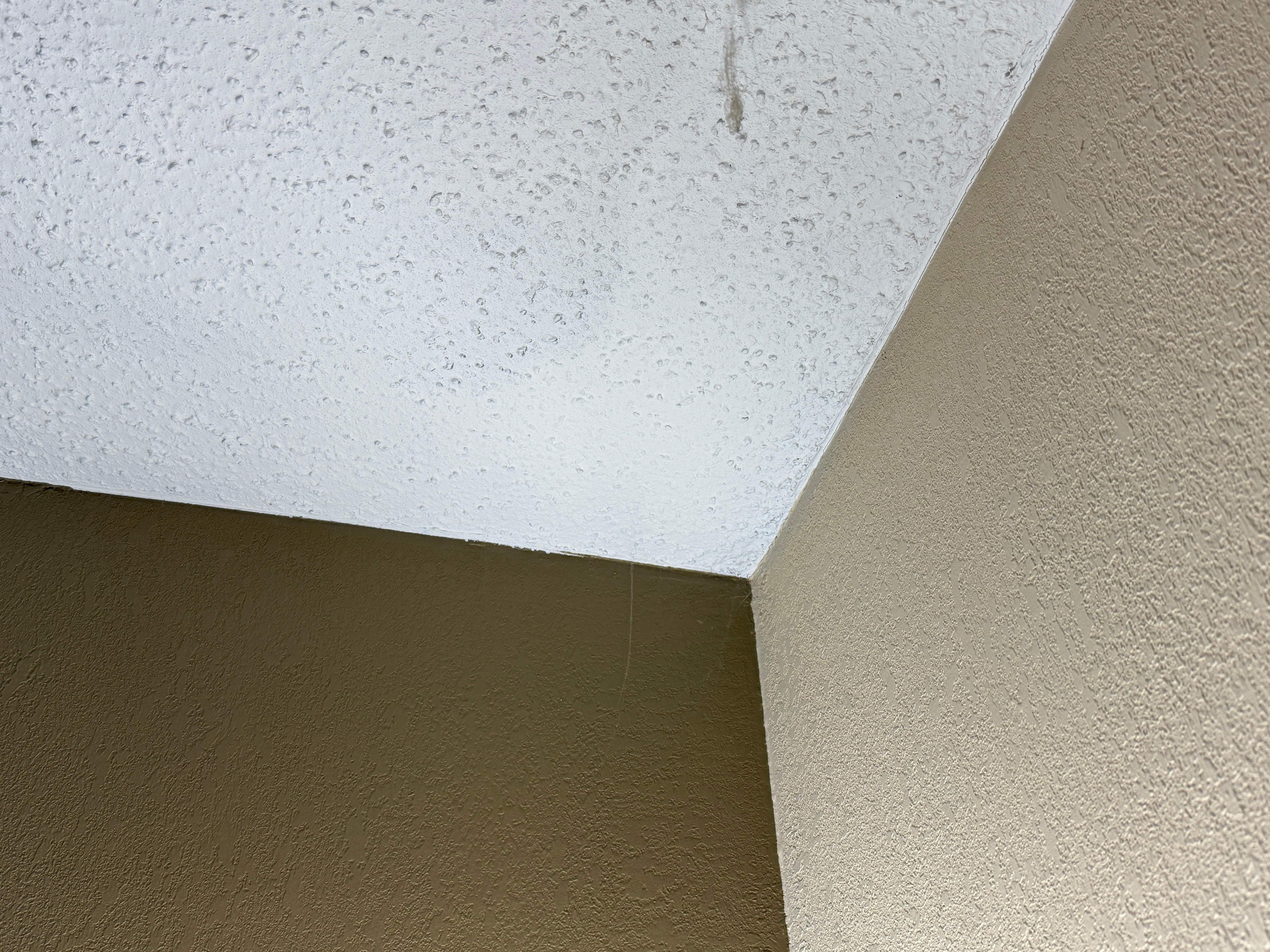 Cob webs in every corner of room