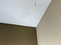 Cob webs in every corner of room