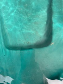 Dirty hot tub very dirty