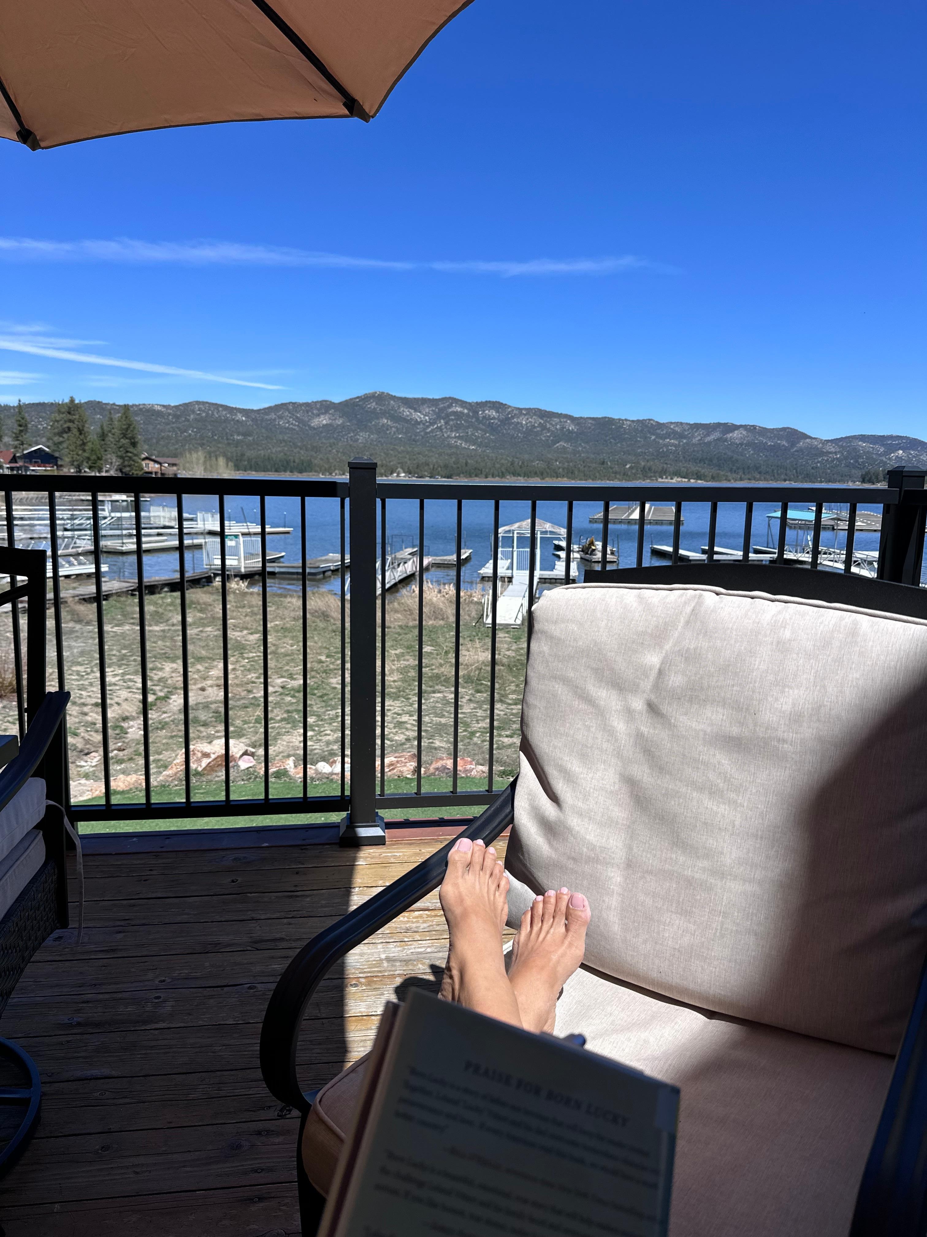 The view out back. Perfect for readings book with a snack. 