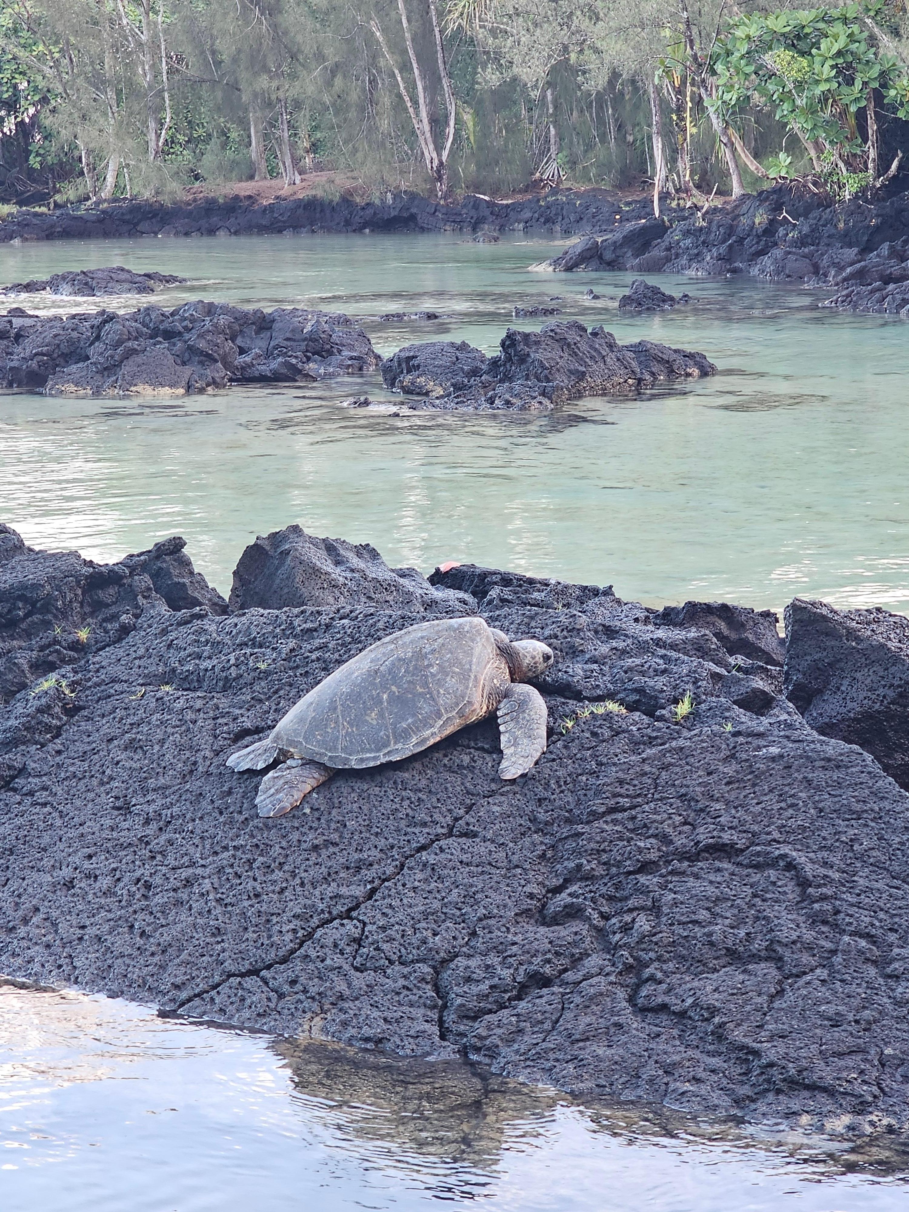 The beach park next door!