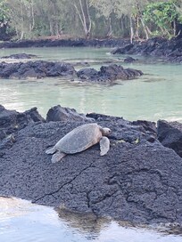 The beach park next door!