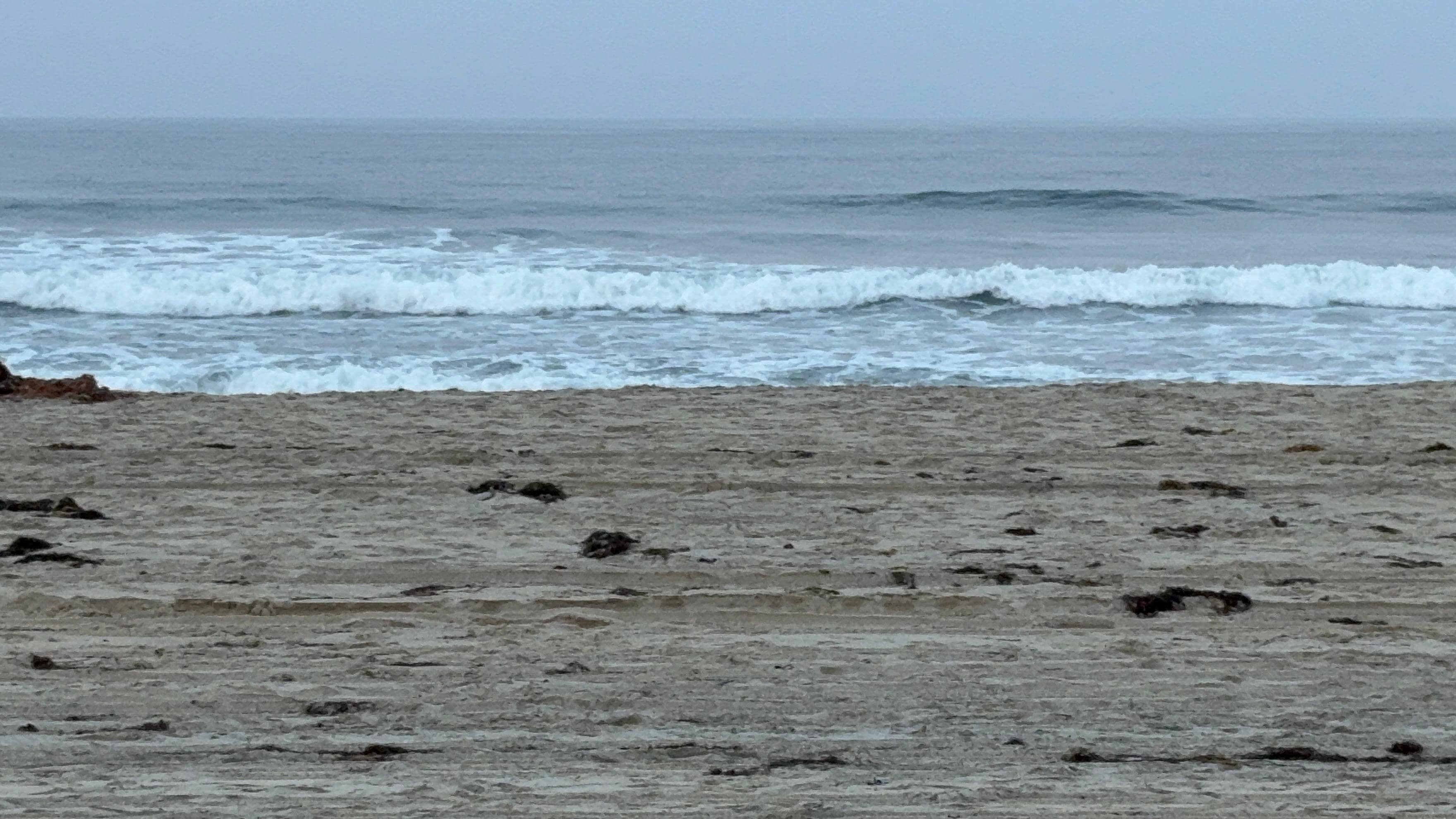 View from the patio.