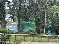 Rainbow river head springs