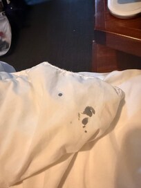Blankets were dirty/stained.
