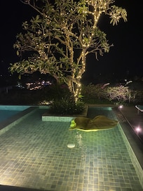 Roof Top pool