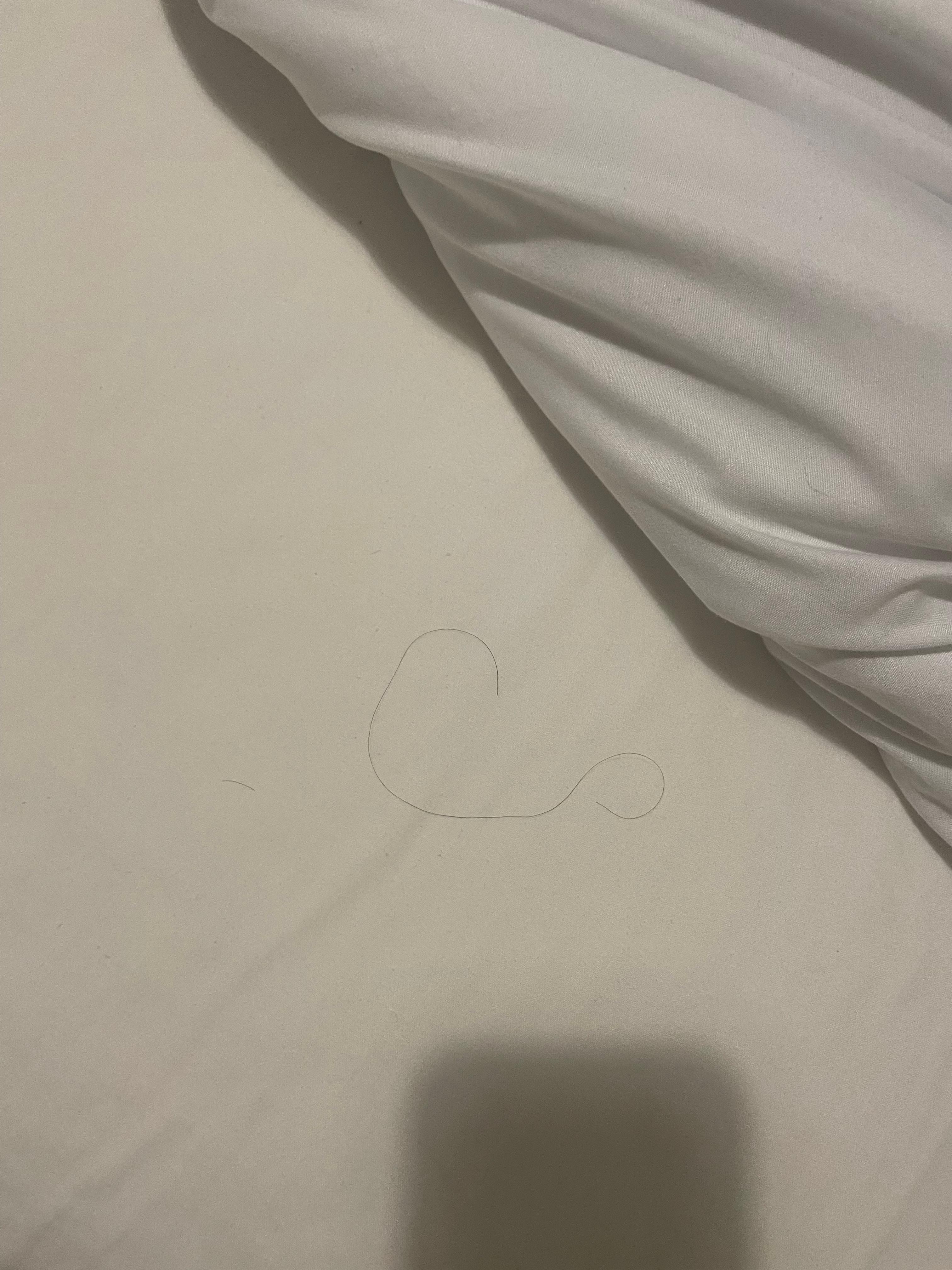 Hairs in the bed