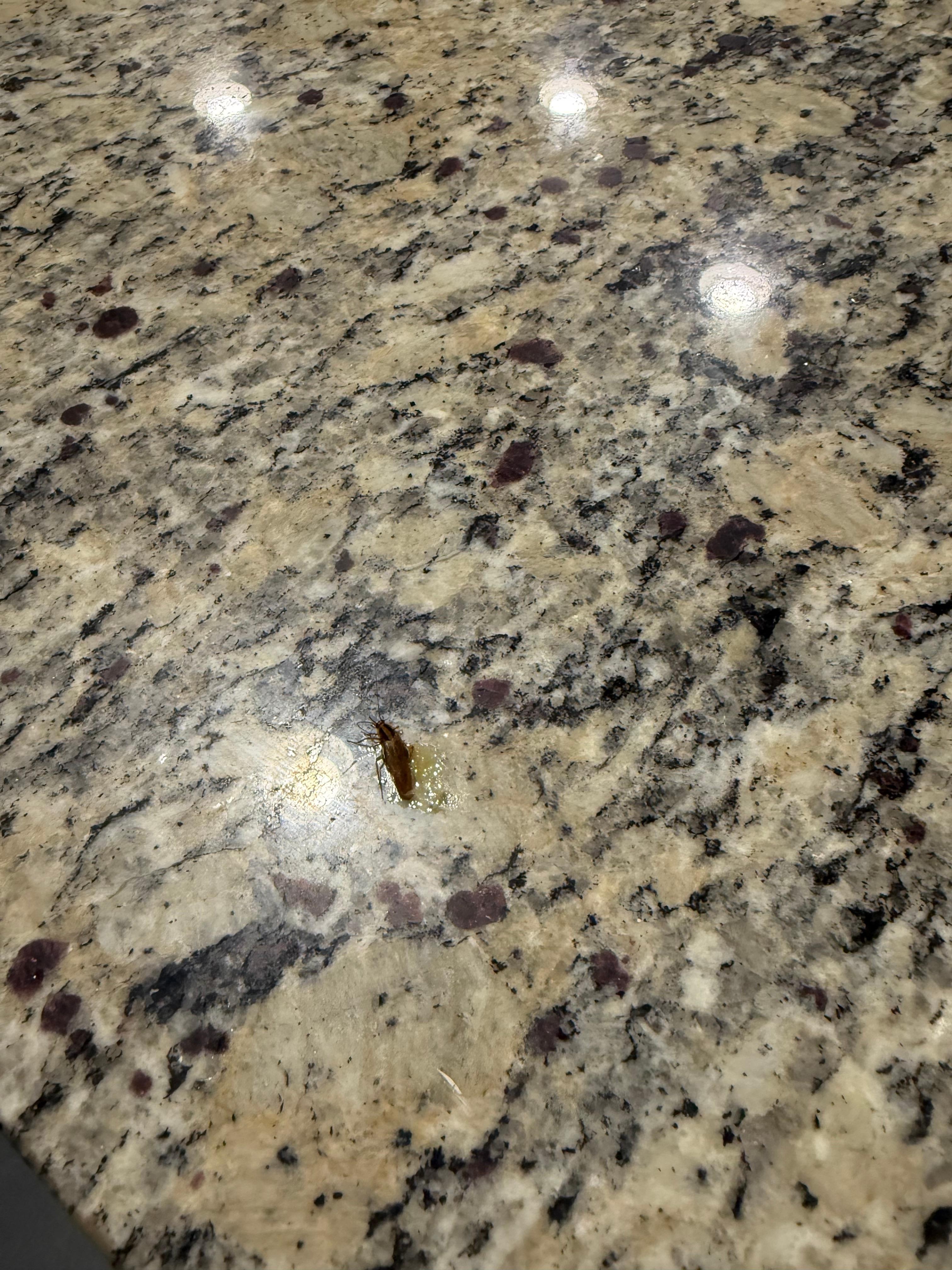 One of the few we had to kill.