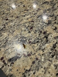 One of the few we had to kill.