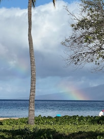 Lil rainbow