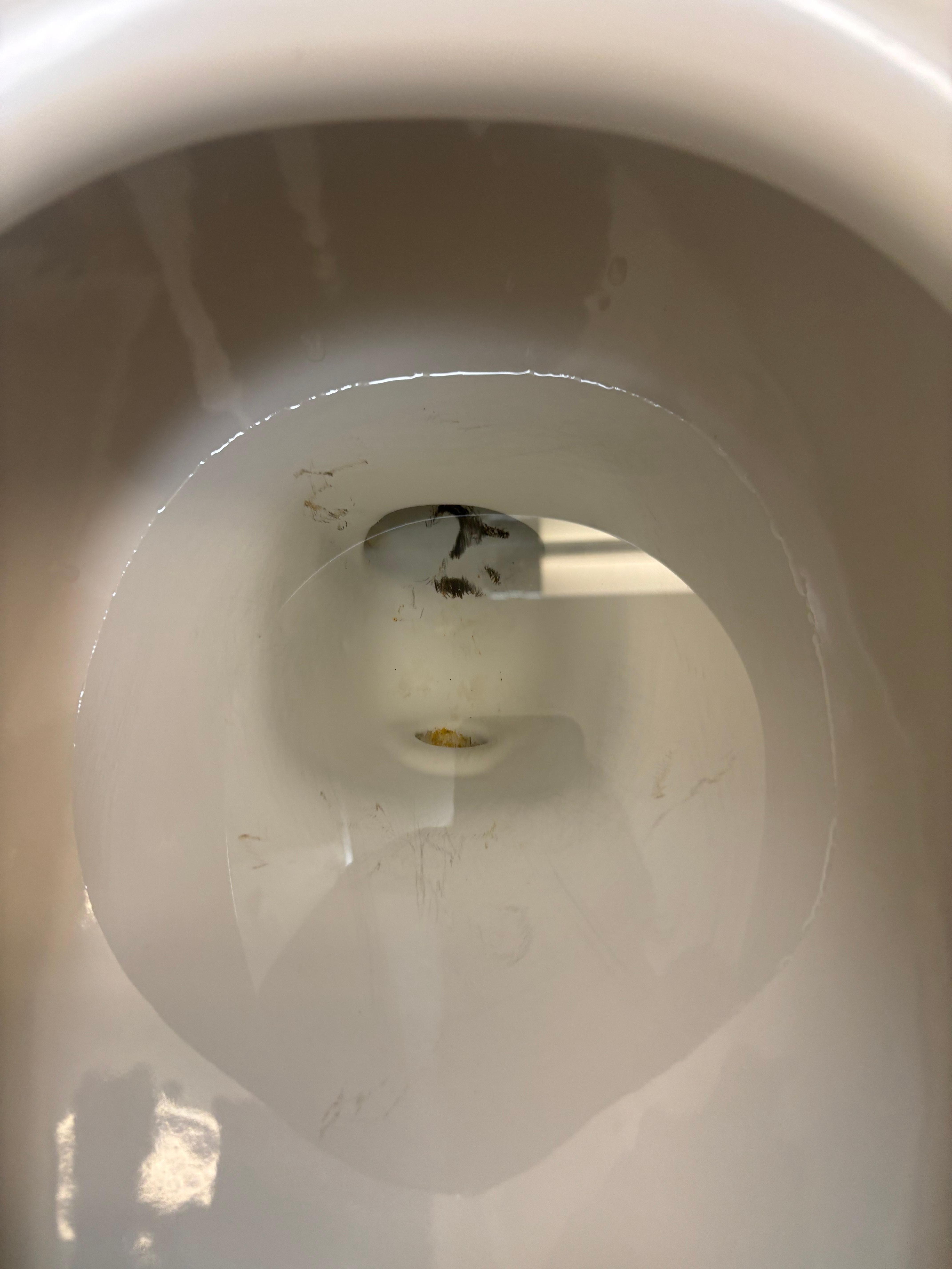 Toilet when we walked into the room 