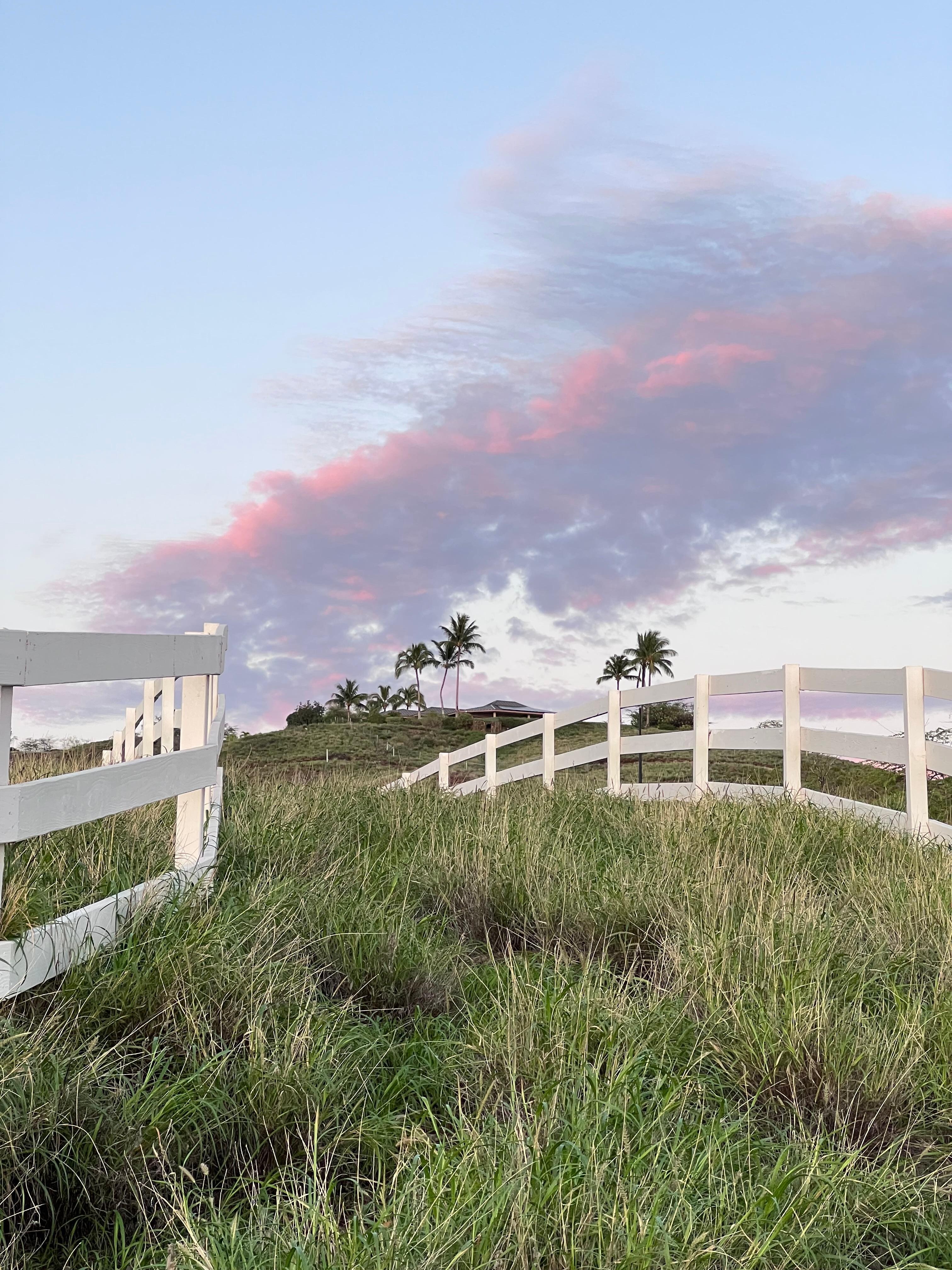 Pink sky during being walk