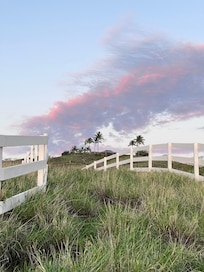 Pink sky during being walk