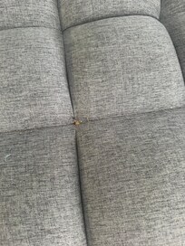 Crumbs on couch